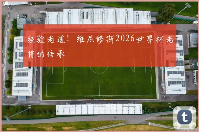 经验老道!维尼修斯2026世界杯老将的传承