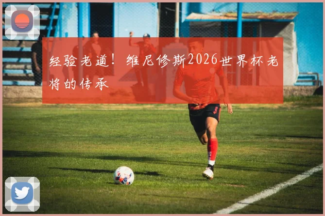 经验老道！维尼修斯2026世界杯老将的传承
