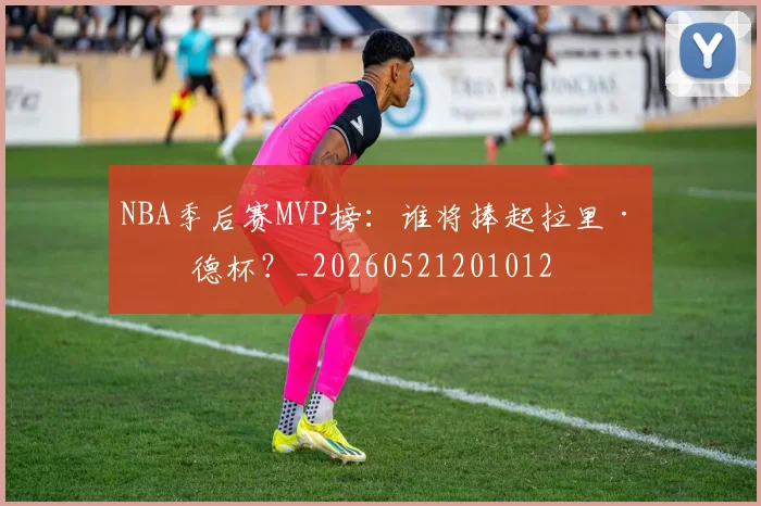 NBA季后赛MVP榜:谁将捧起拉里·伯德杯?_20260521201012